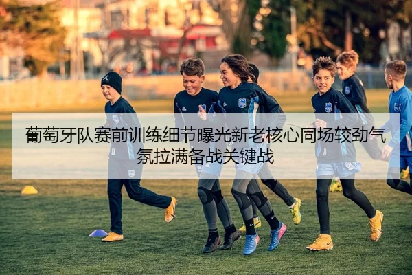 葡萄牙队赛前训练细节曝光新老核心同场较劲气氛拉满备战关键战